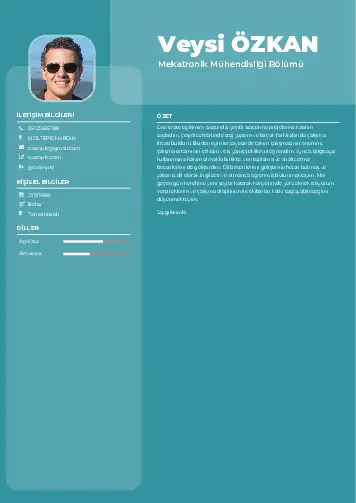 Mekatronik Mühendisliği Cv Örnekleri cv indir